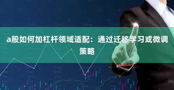 a股如何加杠杆领域适配：通过迁移学习或微调策略
